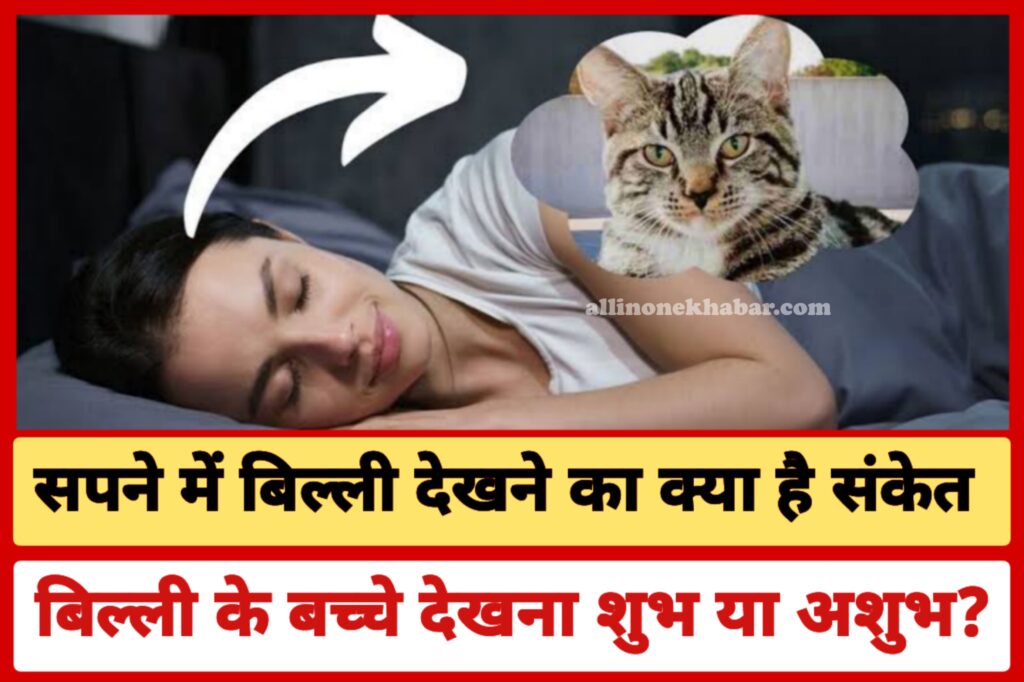 Sapne Me Billi Dekhna सपने में बिल्ली देखने का क्या है संकेत, सपने में बिल्ली के बच्चे को देखना शुभ या अशुभ